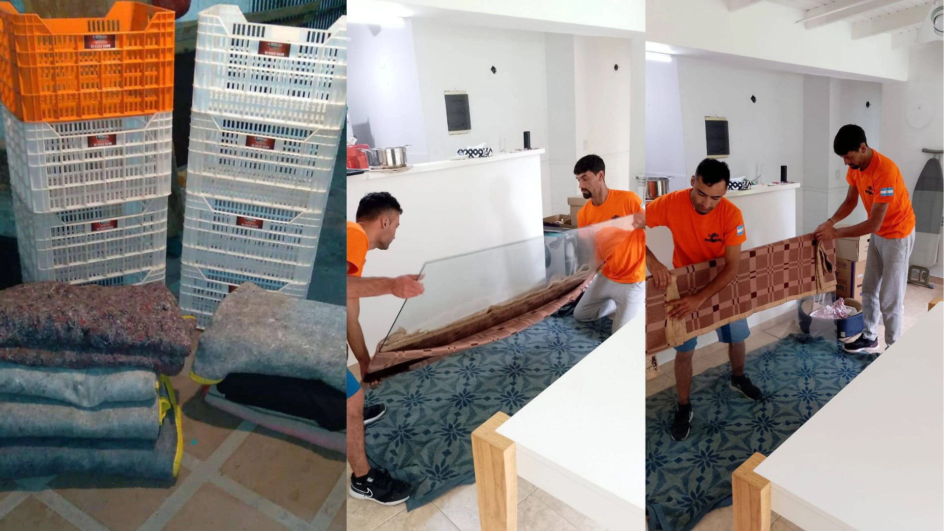 fletes-y-mudanzas-claudio-reyes-cuidados-02